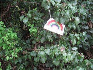 Rainbows and Teddies! Article Photo - 