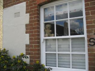 Rainbows and Teddies! Article Photo - 