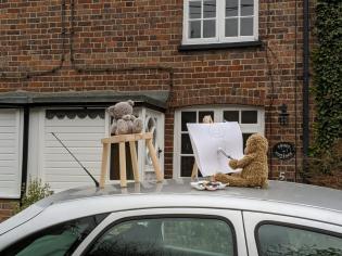Lower Church Street Teddies Article Photo - 