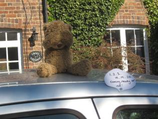 Lower Church Street Teddies Article Photo - 