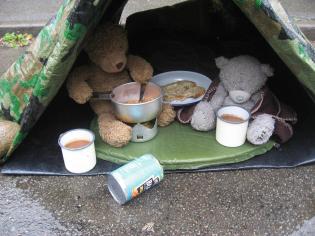 Blame the Bears! Article Photo - 