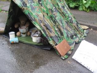 Blame the Bears! Article Photo - 
