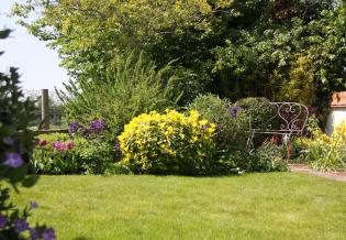 Bears, Boys and Bridleway Blooms! Article Photo - 