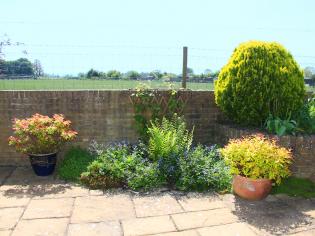 Bears, Boys and Bridleway Blooms! Article Photo - 