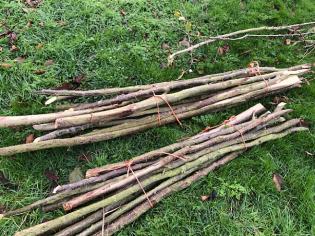 Hazel Stakes and Feathers Article Photo - 