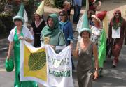 Banner Photo -  -  1288533118.jpg