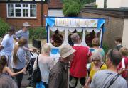 Banner Photo -  -  1288533396.jpg