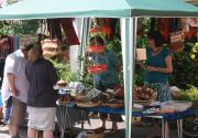 Banner Photo -  -  1288533827.jpg