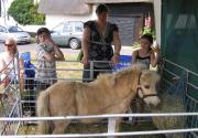 Banner Photo -  -  1288534099.jpg