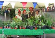 Banner Photo -  -  1288536129.jpg
