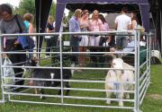 Banner Photo -  -  1288536327.jpg