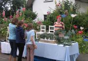 Banner Photo -  -  1288536358.jpg