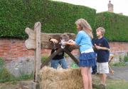 Banner Photo -  -  1288536437.jpg