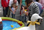 Banner Photo -  -  1310323330.jpg