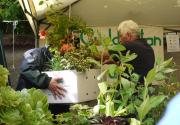 Banner Photo -  -  1310323401.jpg