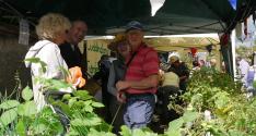 Banner Photo -  -  1317839519.jpg