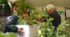 Banner Photo -  -  1317839524.jpg