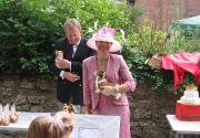 Banner Photo -  -  1325274982.jpg