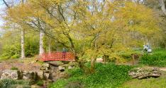 Banner Photo -  -  1336508239.jpg
