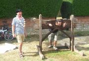 Banner Photo -  -  1437042348.jpg