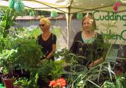 Banner Photo -  -  1500478002.jpg