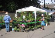 Banner Photo -  -  1500478005.jpg