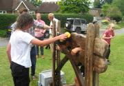 Banner Photo -  -  1563358863.jpg