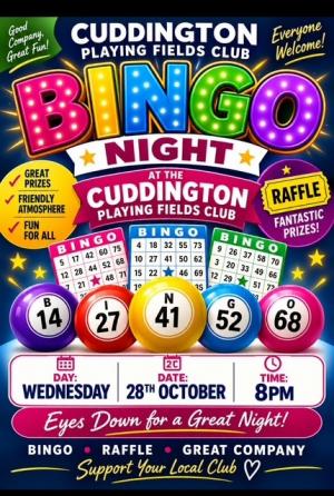Article Graphic - Bingo Night