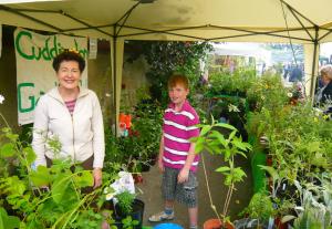 The GC Plant Stall at the Village Fete 2012 Article Graphic