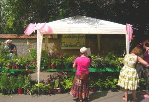 Plant Stall at the Village Fete Saturday 12th July Article Graphic