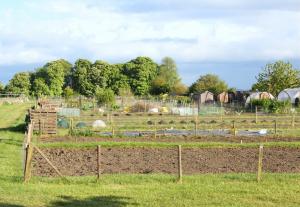 How to Apply for an Allotment Article Graphic