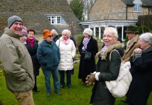 Snowdrop Afternoon 12th February 2015 Article Graphic