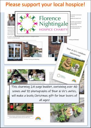 Hospice Appeal Article Graphic
