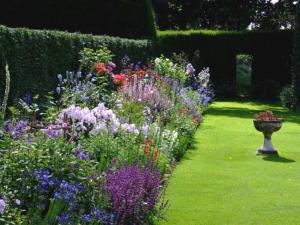 AGM and Coton Manor Gardens Monday 9th February Article Graphic