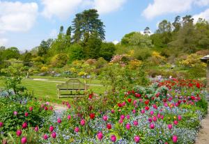 AGM and Plant Photography Monday 7th March Article Graphic