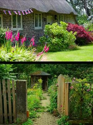 Haddenham Virtual Gardens Tours Article Graphic