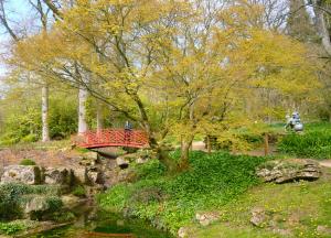 Visit to Batsford Arboretum Article Graphic